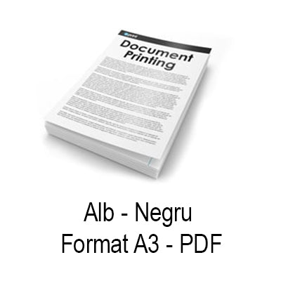 Print document PDF Alb Negru A3