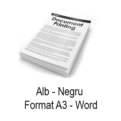 Print document Word Alb Negru A3