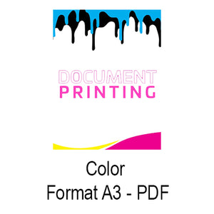 Print document PDF Color A3