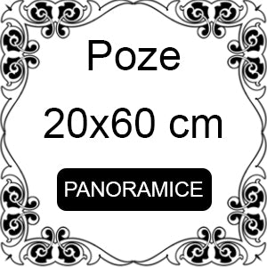Developar epoze panoramice - 20x60 cm